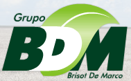 Grupo BDM